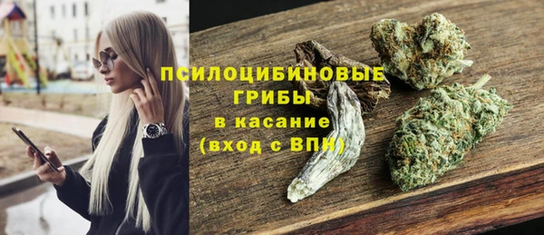ПСИЛОЦИБИНОВЫЕ ГРИБЫ Балахна