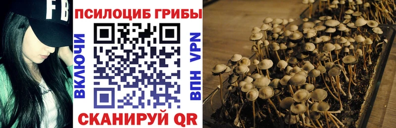 гидра маркетплейс  Лесосибирск  Псилоцибиновые грибы GOLDEN TEACHER 